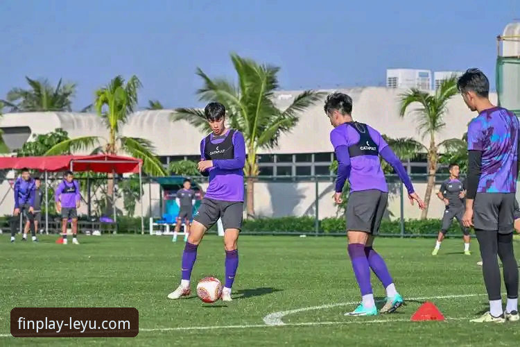 乐鱼app官网下载 乐鱼体育平台新手入门:从官网下载到流畅观赛全教程